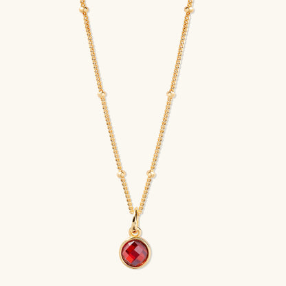 January Birthstone Necklace